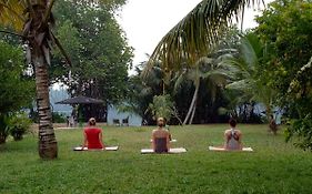 Mangrove Villa - Yoga & Ayurveda
